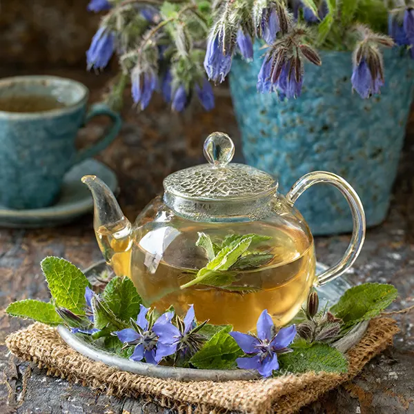 خواص دمنوش گل گاوزبان